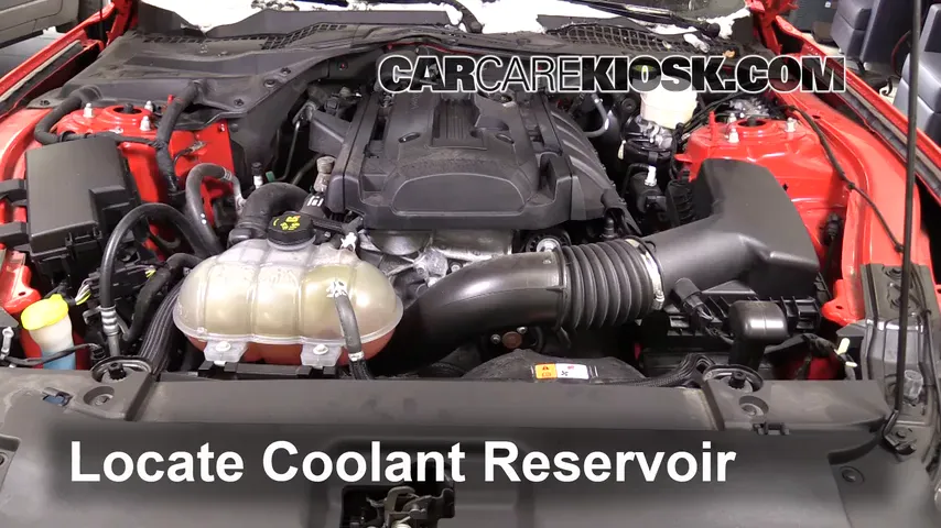 2015 Ford Mustang EcoBoost 2.3L 4 Cyl. Turbo Coolant (Antifreeze) Add Coolant
